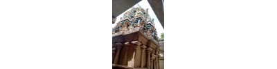 புன்னை நல்லூர் மாரியம்மன் - தமிழ்நாடு